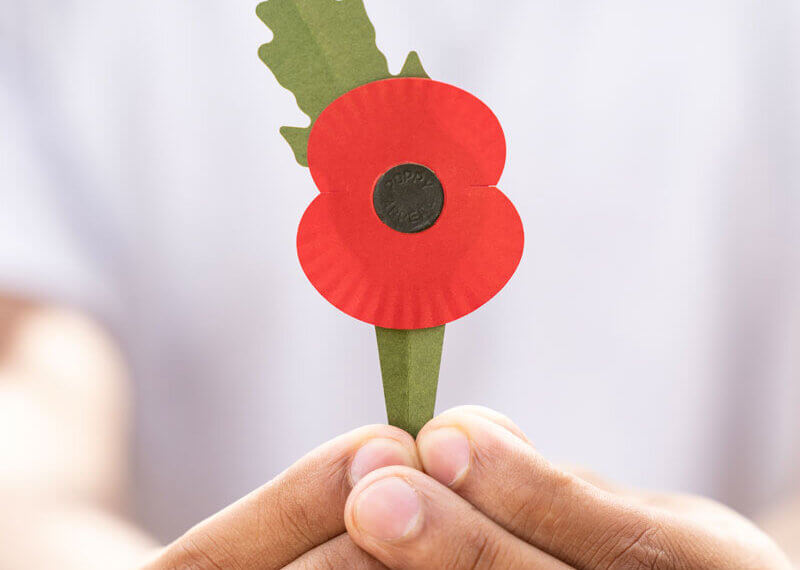 hands-holding-paper-poppy